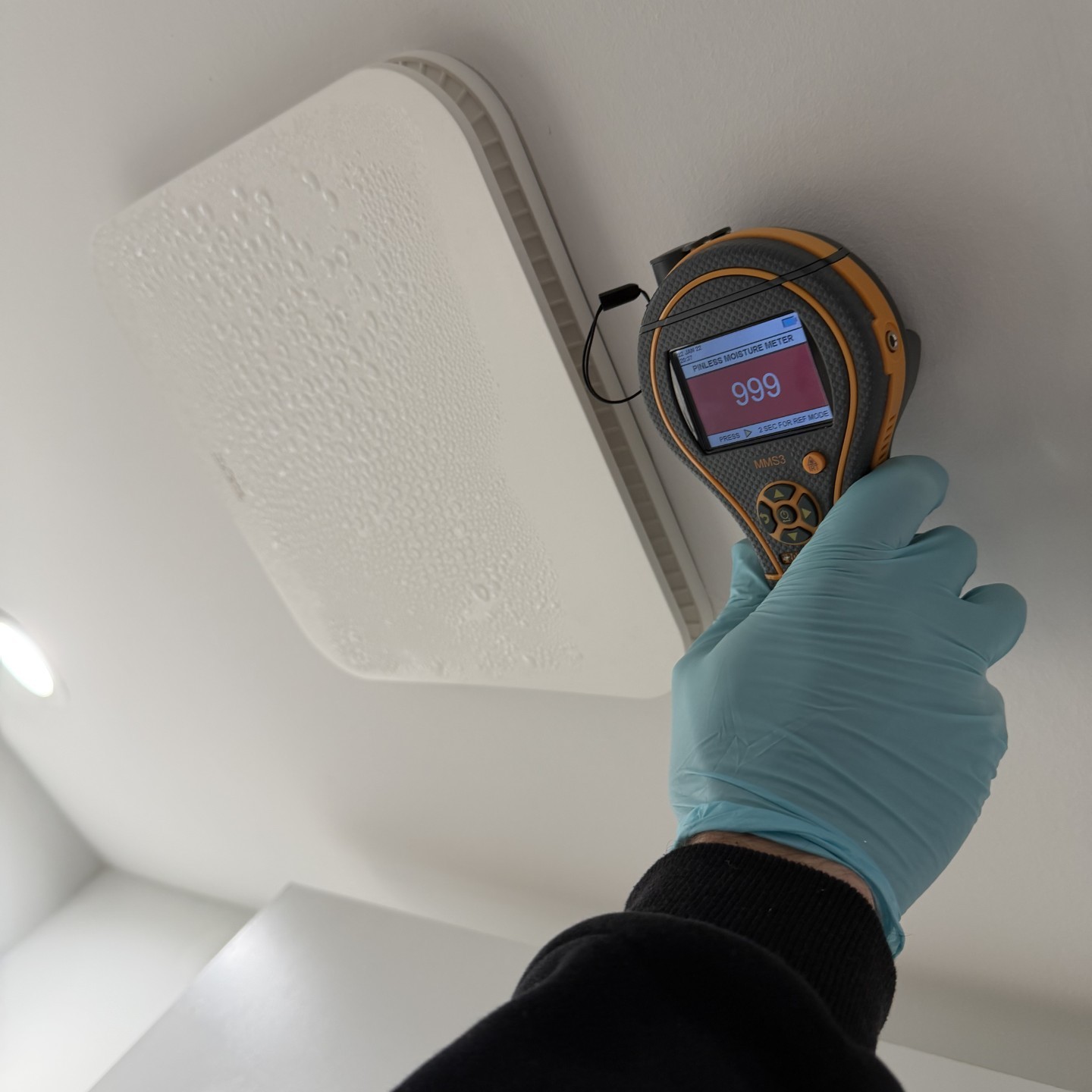 Moisture Detection & Mapping